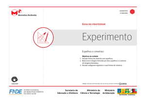 Espelhos e simetrias - Guia do Professor