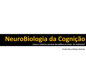 NeuroBiologia da Cognição - IBB