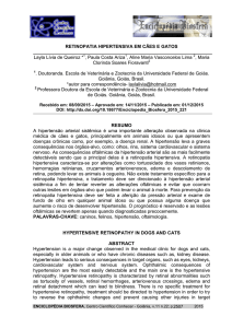 retinopatia hipertensiva em cães e gatos