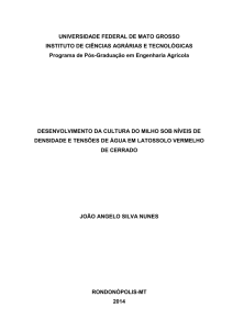 Desenvolvimento da cultura do milho sob níveis de densidade e