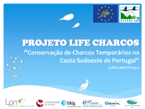 charcos temporários - Projeto LIFE Charcos