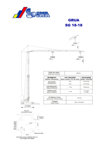 Características Catalogo gruas AutoMontantes