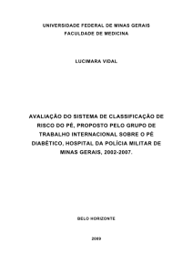 avaliação do sistema de classificação de risco do pé, proposto pelo