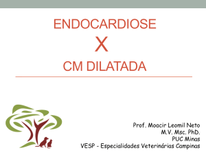 Endocardiose - Vet Diagnóstico | Limeira