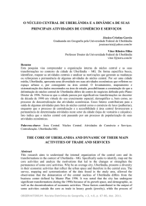 O núcleo central de Uberlândia: uma análise das atividades de