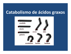 (Microsoft PowerPoint - catabolismo de \341cidos graxos)