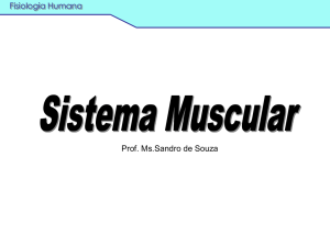 Bases fisiológicas do Sistema Muscular