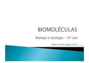4) biomoléculas
