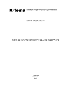 índice de hepatite no município de assis de 2007 à 2010