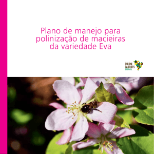 Plano de manejo para polinização de macieiras da variedade Eva