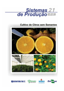 Cultivo de Citros sem Sementes