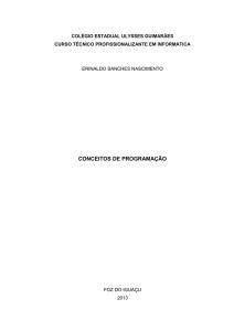 conceitos de programação - Profº Erinaldo Sanches Nascimento