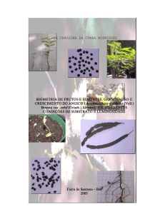 Biometria de frutos e sementes, germinação e - PPGBot