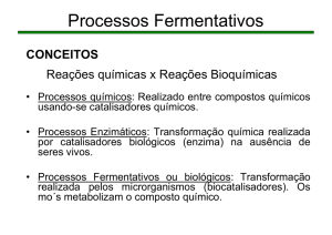 Processos Fermentativos - Escola de Química / UFRJ