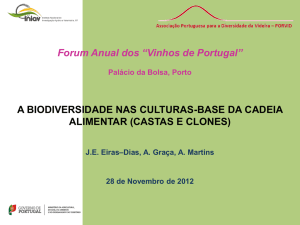 Diapositivo 1 - ViniPortugal