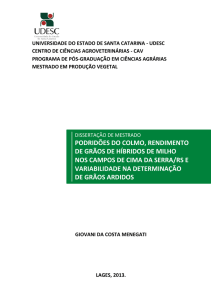 podridões do colmo, rendimento de grãos de híbridos de milho nos