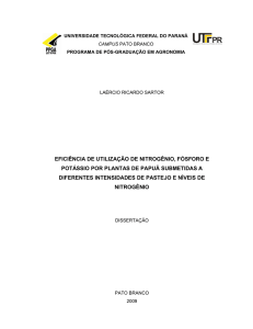 eficiência de utilização de nitrogênio, fósforo e potássio por plantas