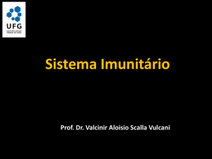 Sistema Imunitário - LAAN