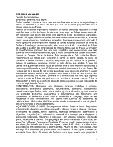 berberis vulgaris - Associação Brasileira de Medicina Complementar