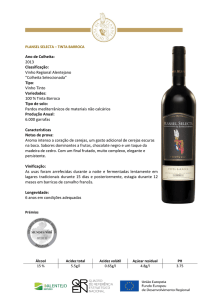 Ano de Colheita: 2013 Classificação: Vinho Regional Alentejano