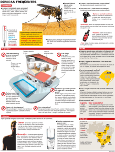 info dengue