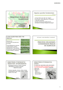 Microsoft PowerPoint - PRINCIPAIS PRAGAS DE OLER