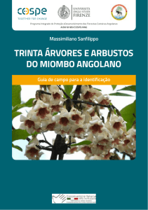 TRINTA ÁRVORES E ARBUSTOS DO MIOMBO ANGOLANO