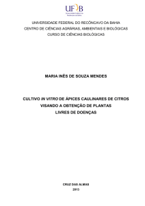 Maria Inês de Souza Mendes