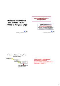 Aula 2- Antígenos