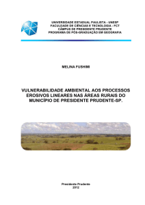 VULNERABILIDADE AMBIENTAL AOS PROCESSOS EROSIVOS