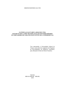 GLÂNDULAS SALIVARES LABIAIS DE CÃES: ESTUDO IN SITU E