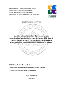 Análise transcricional de Corynebacterium - Genética