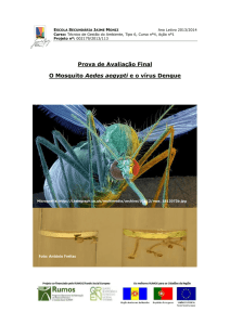 Prova de Avaliação Final O Mosquito Aedes aegypti e o vírus Dengue