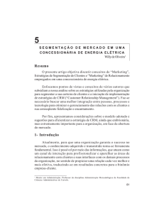 segmentação de mercado em uma concessionária de energia elétrica