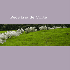 Pecuária de Corte