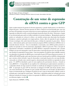 Construção de um vetor de expressão de siRNA contra o gene GFP