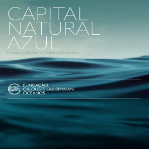 Capital natural Azul – e uma gestão empresarial sustentável
