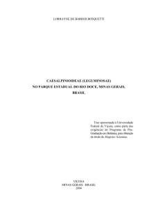 Dissertação Lorrayne de Barros Bosquetti