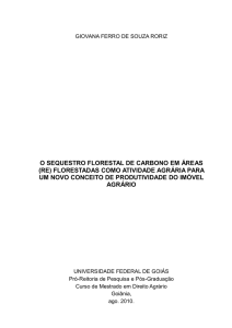 o sequestro florestal de carbono em áreas