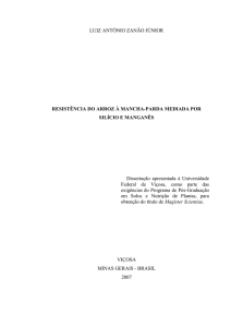 LUIZ ANTÔNIO ZANÃO JÚNIOR RESISTÊNCIA DO ARROZ À