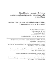 Identificação e controle de fungos entomopatogênicos presentes em