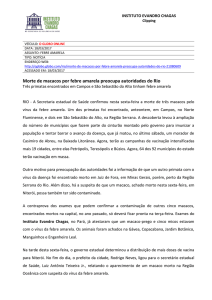 Morte de macacos por febre amarela preocupa autoridades do Rio