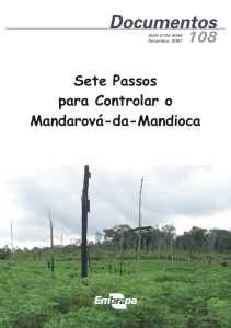 Sete Passos para Controlar o Mandarová-da-Mandioca
