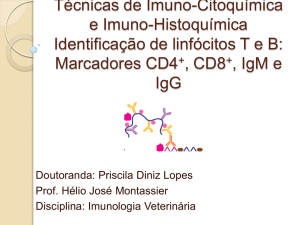 Aula Prática 13- Técnicas de Imuno-citoquimica e Imuno