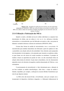 2.5.4 Utilização e Fabricação das MEAs