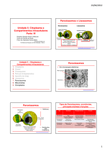 Citoplasma e Compartimentos Intracelulares