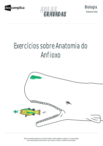 Exercícios sobre Anatomia do Anfioxo
