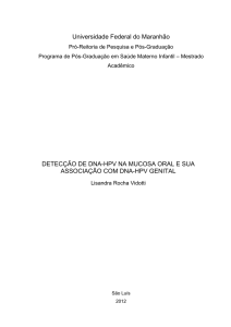 DISSERTACAO Lisandra Rocha Vidotti - início