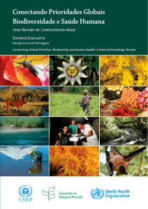 disponível em PDF - Centro de Informação em Saúde Silvestre