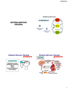 SISTEMA NERVOSO VISCERAL Sistema Nervoso - IBB